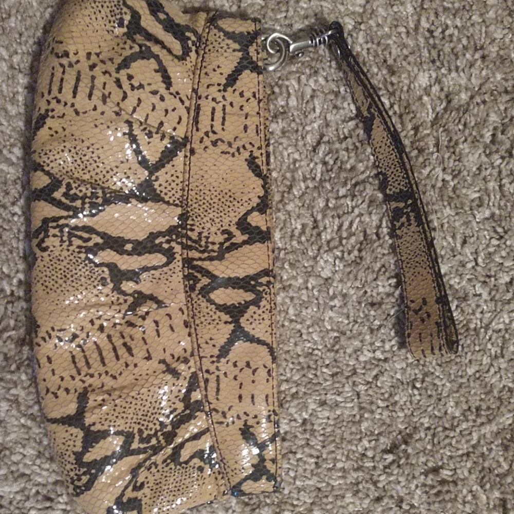 Snakeskin clutch